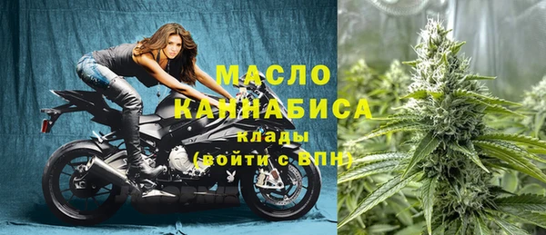 сатива Алзамай