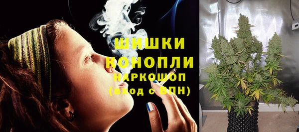 сатива Алзамай