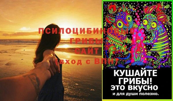 сатива Алзамай