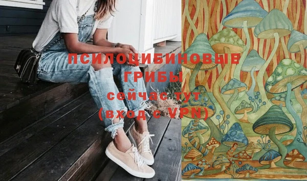 сатива Алзамай