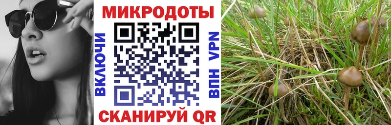 Галлюциногенные грибы GOLDEN TEACHER  Данков 